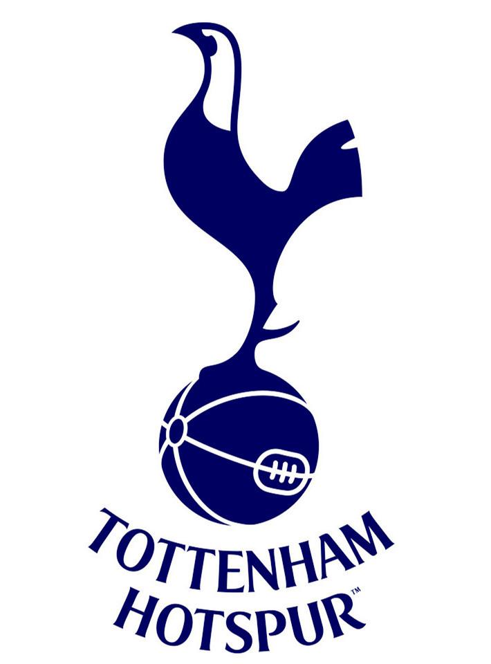 热刺客场不敌实力弱旅,一波未平一波又起的简单介绍 热刺客场不敌实力弱旅,一波未平一波又起的简单介绍