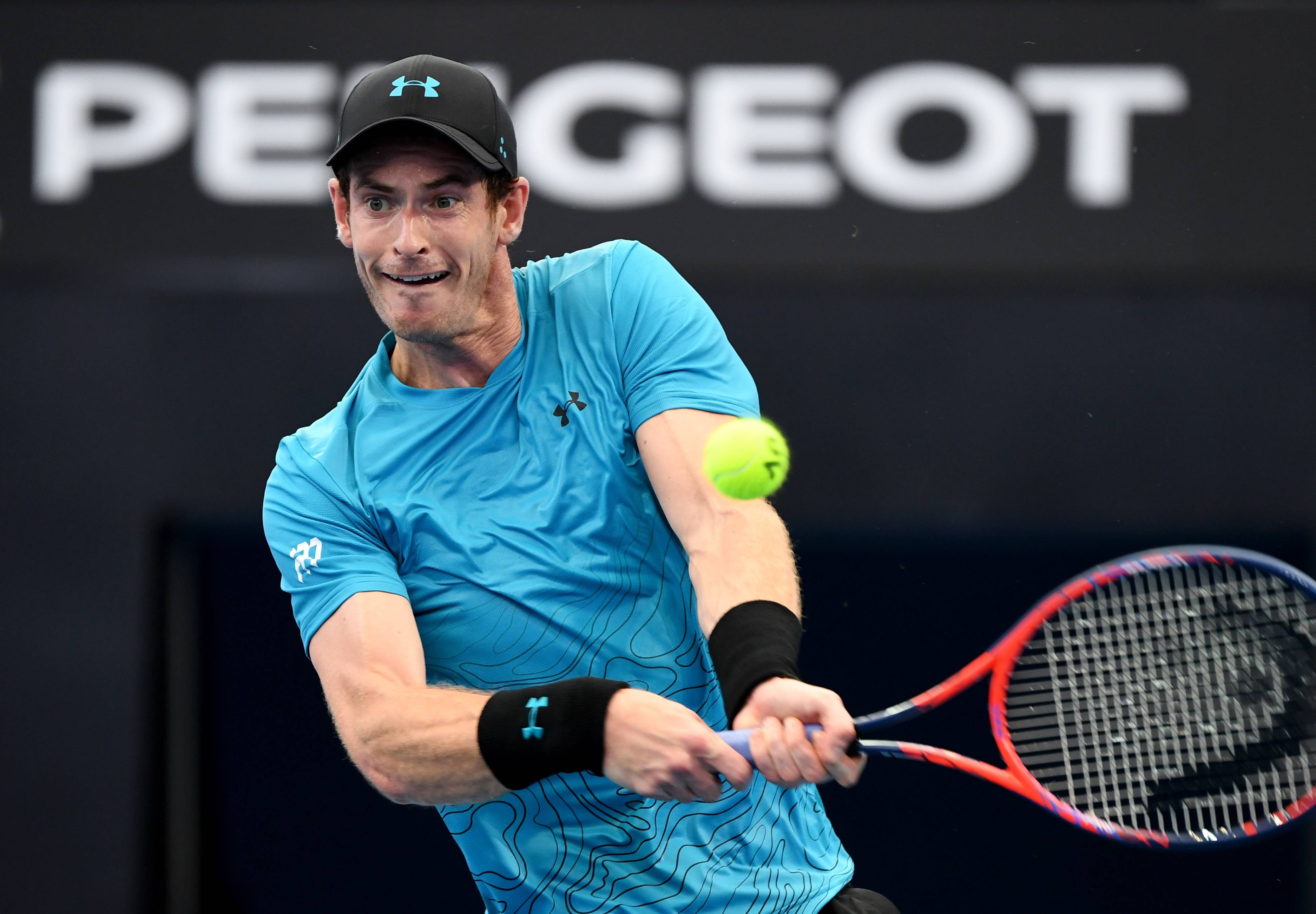 德国网球队鏖战英国网球队，穆雷高光表现的简单介绍