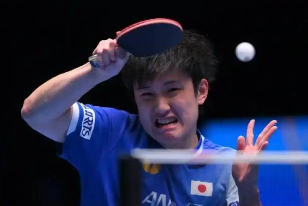 开云体育入口-瑞典乒乓球队血洗德国乒乓球队，张本智和绝境逆转的简单介绍