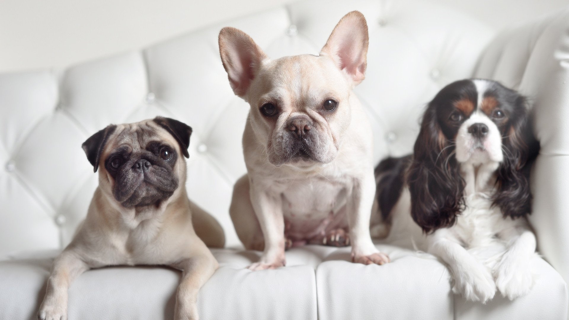 足球双响炮，穆勒爆发助德国凯旋，墨西哥战术压制苏格兰取胜