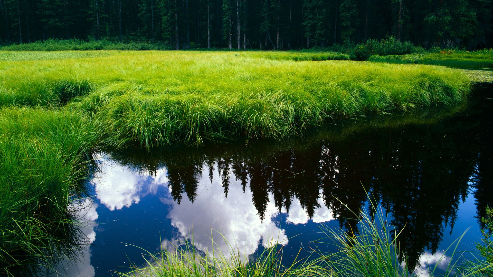 新王加冕，旧神黄昏，贝林厄姆的爆发与奥地利决胜局的冰冷裁决
