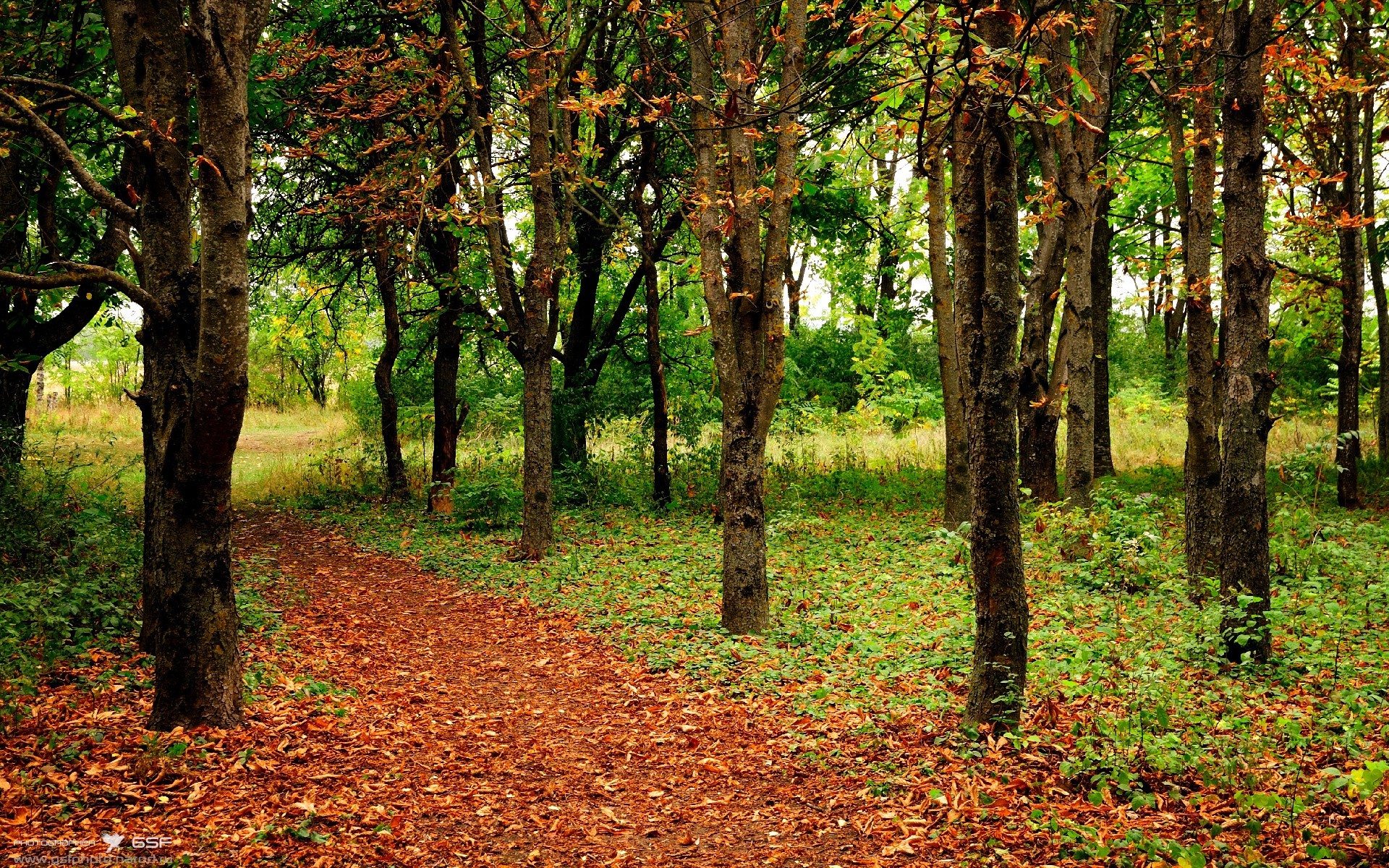 开云体育平台APP-灰熊主场轻取公牛，贝恩致命一击锁定胜局
