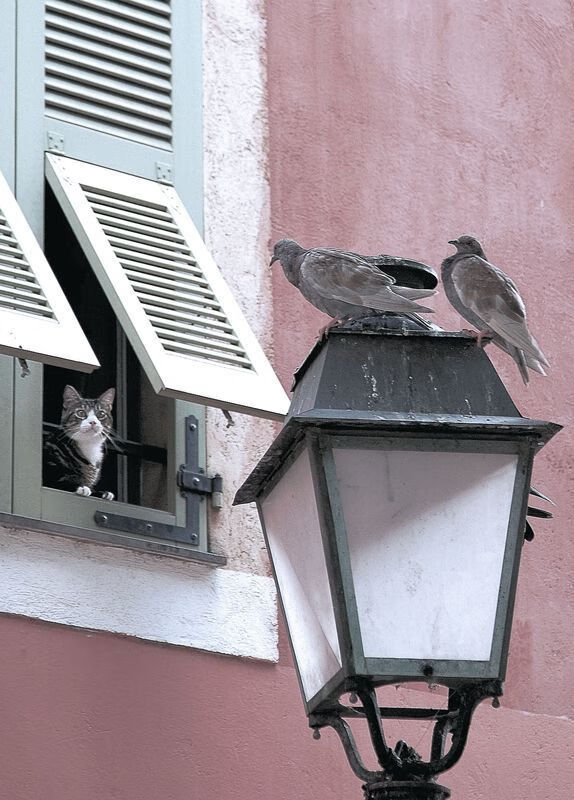 开云体育在线-上海队用东方魔法冲垮奥兰多，爱德华兹50分神迹难救主