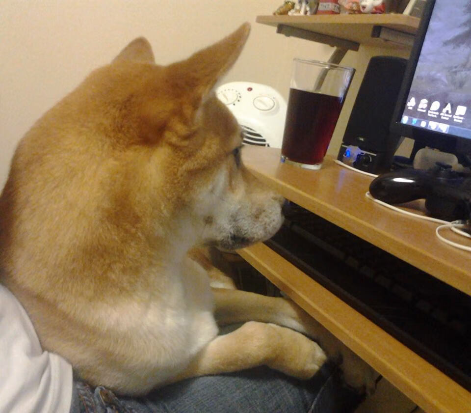 以棋手之名，森林狼的节奏博弈与霍勒迪的关键落子