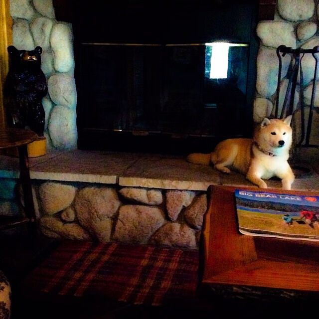 湖人轻取广厦展统治力，德罗赞东决关键战独揽乾坤