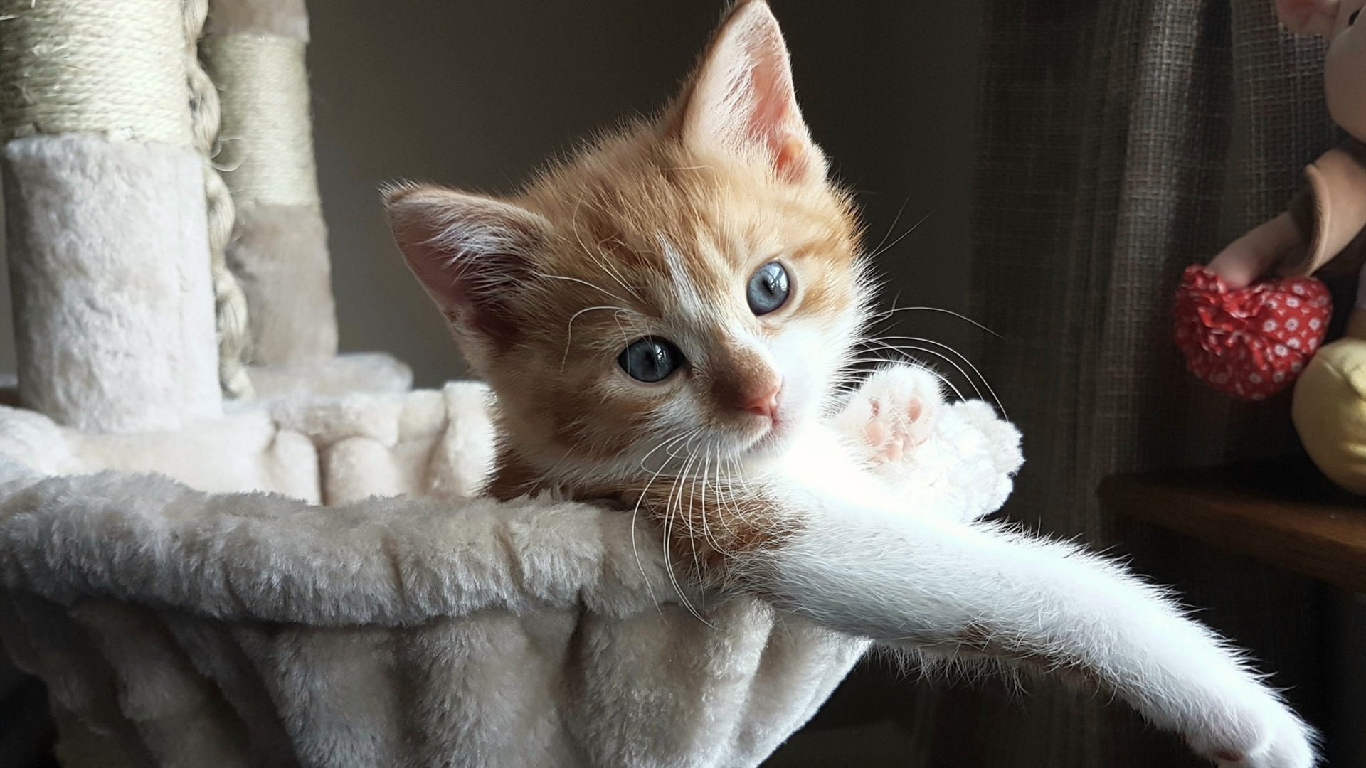 姆巴佩爆发闪耀世界杯，法国队末节发力带走摩洛哥胜利