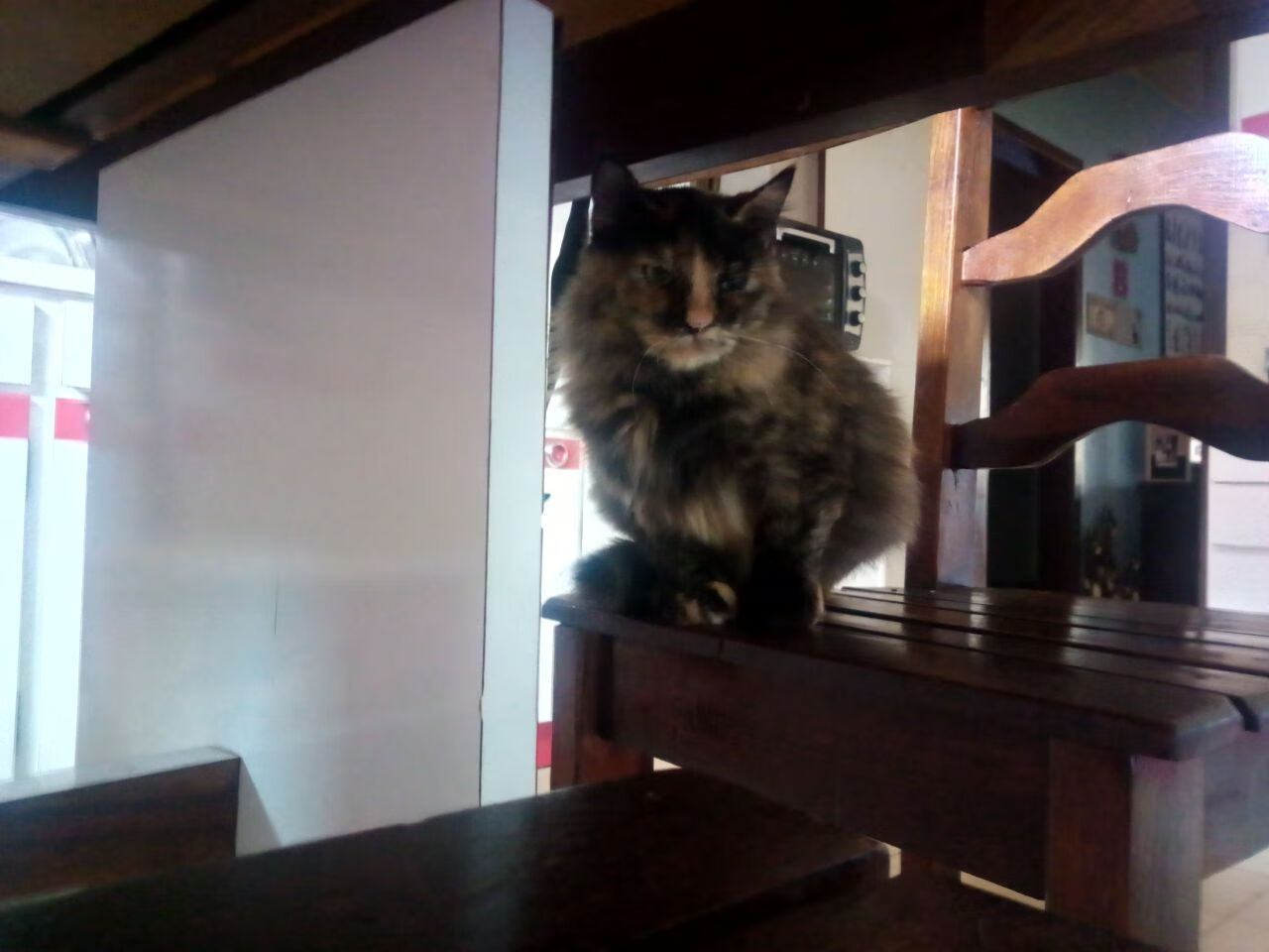 奥亚尔萨瓦尔惊艳VS塞内加尔逆袭，足球场上的个人英雄与集体神话