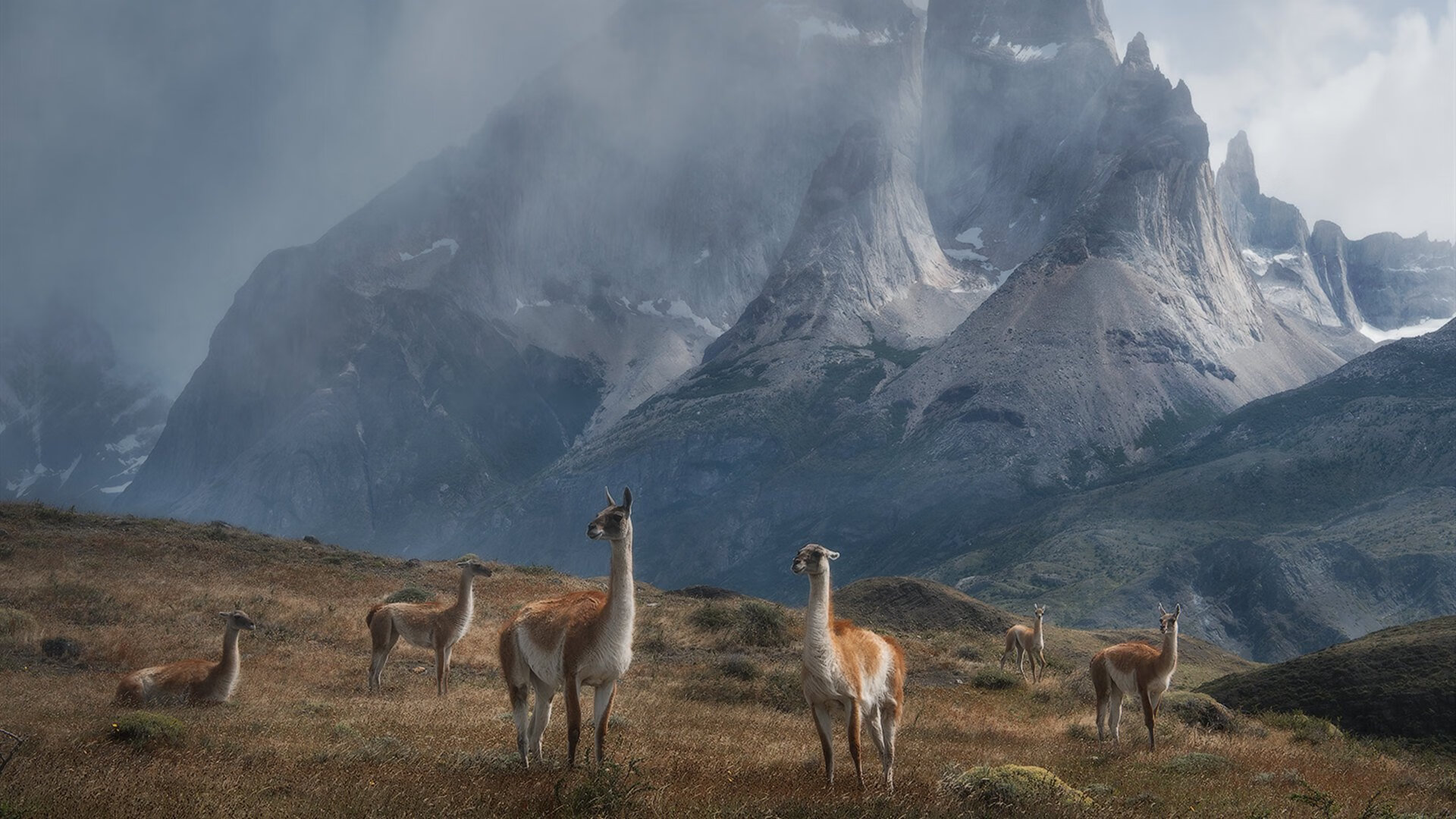 开云体育中国-双城记，关键先生时刻—从波特兰到马德里，主宰比赛的终极艺术