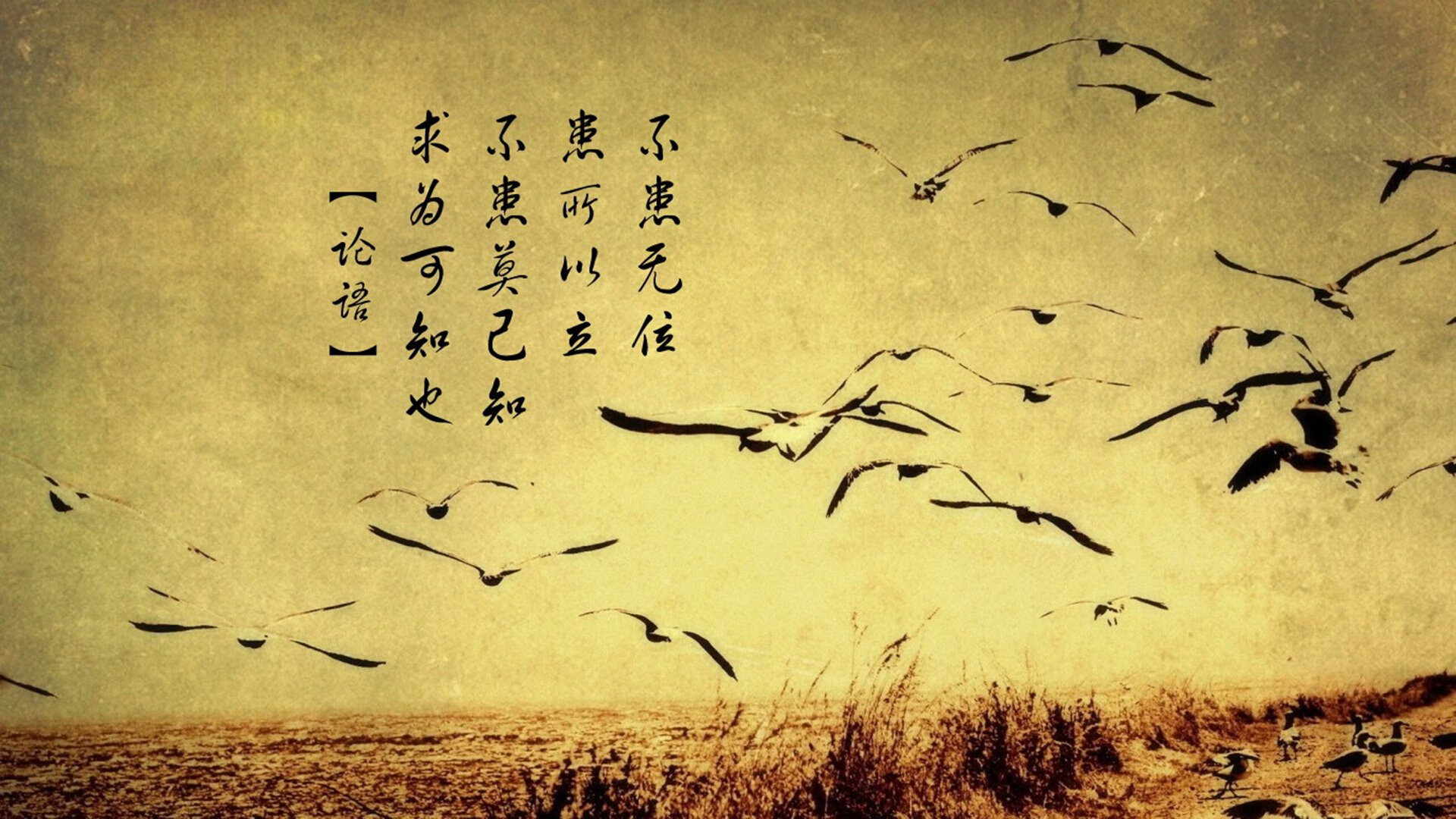 无声的节奏,伊布的欧冠淘汰赛掌控艺术