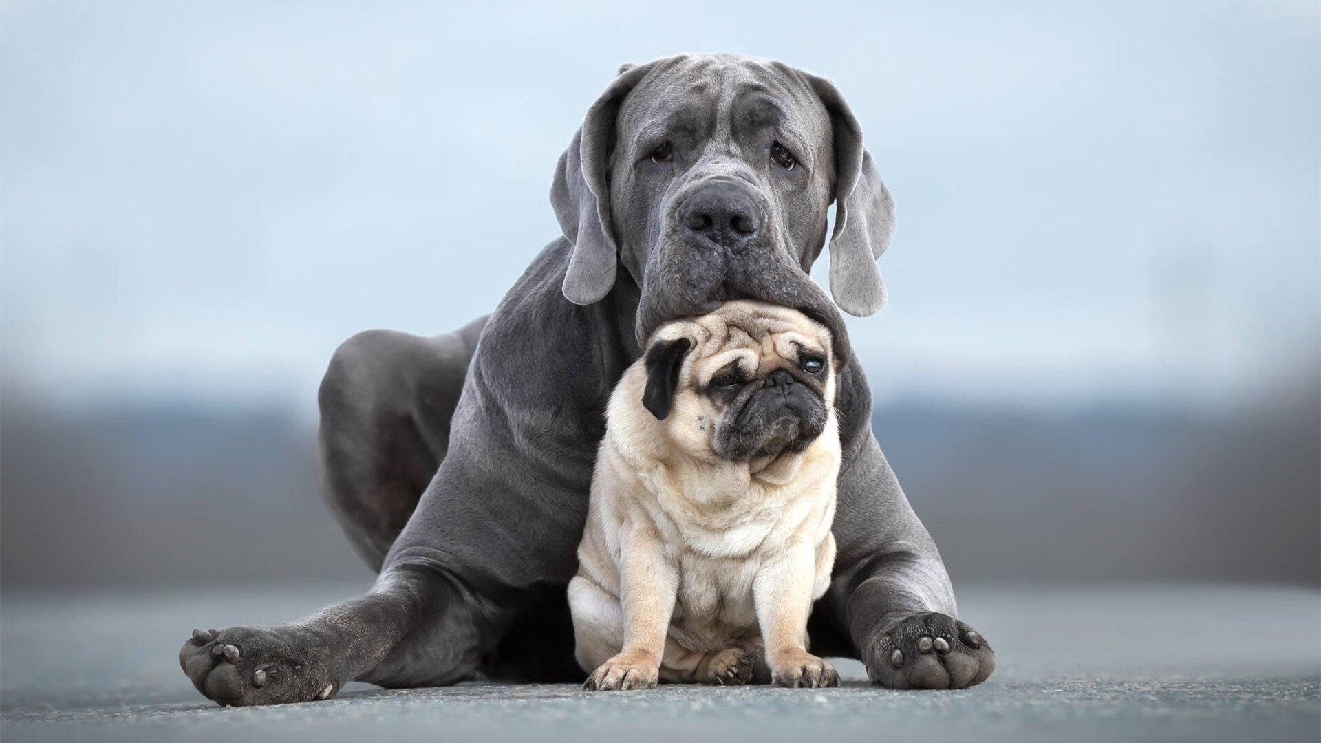 开云体育官网-绝境三分！库里压哨定乾坤，浙江掀翻十一冠王广东