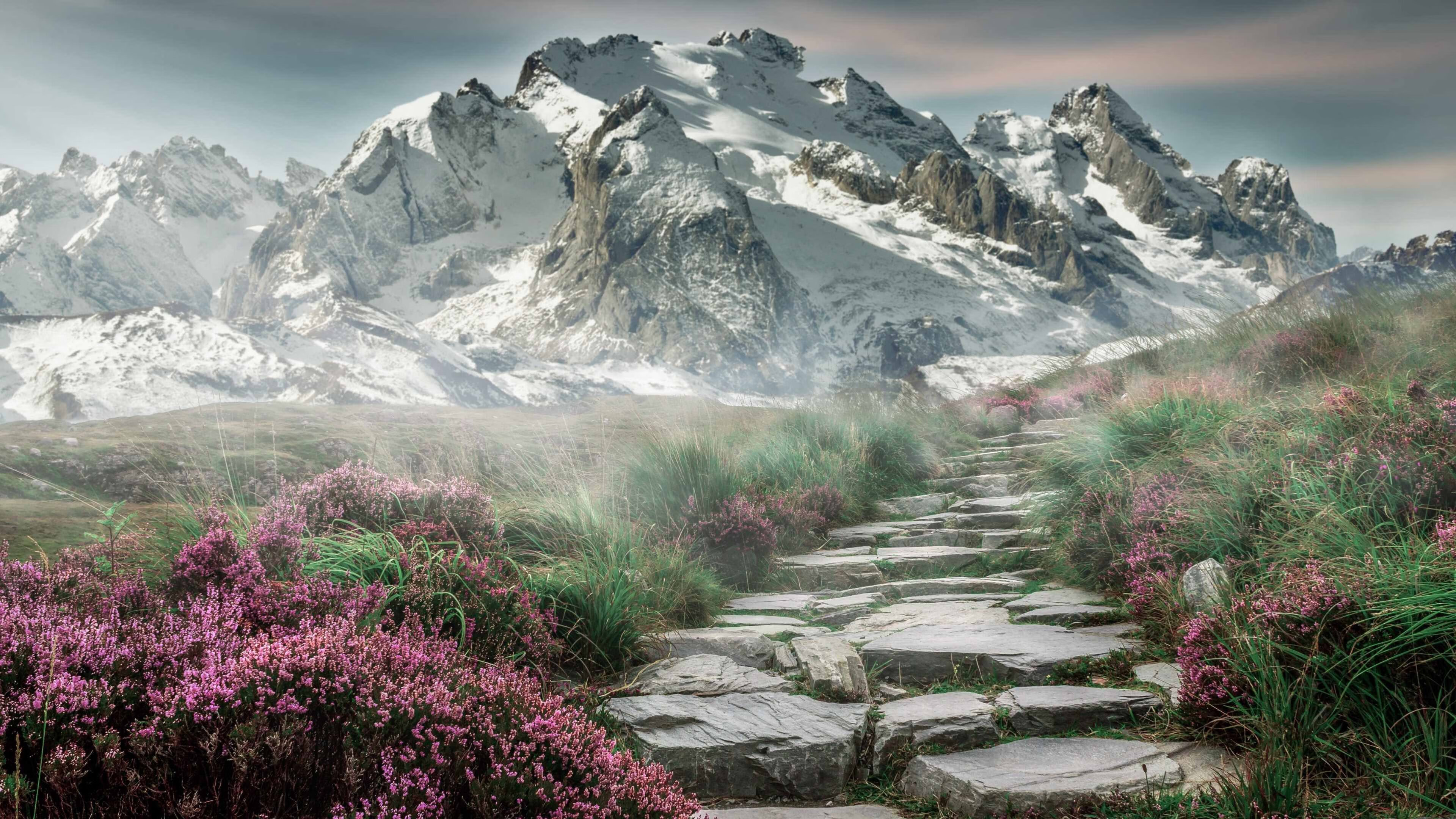 佩德里爆发闪耀罗马，西班牙强势取胜书写新篇章