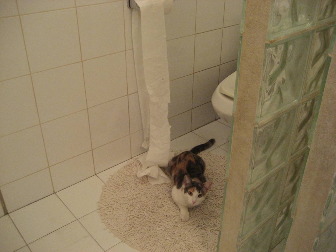 勇士绝境突围，NBA季后赛焦点战力克独行侠的关键史诗