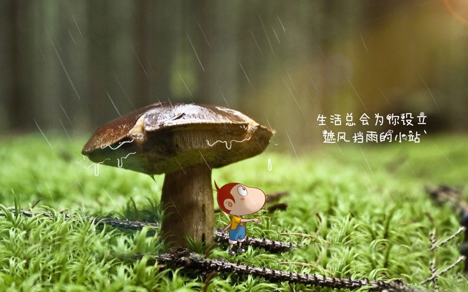 开云体育app-斗牛士舞步碾压桑巴军团，德布劳内大师级表现引爆2026世界杯B组巅峰对决